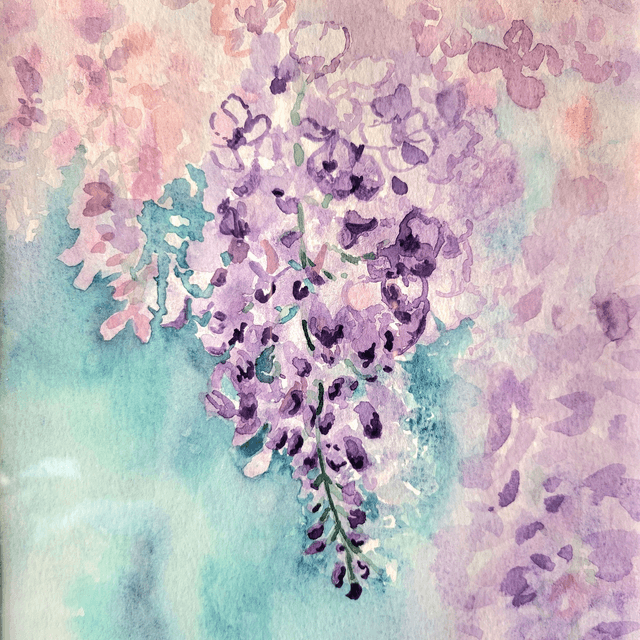 Aquarelle Glycine